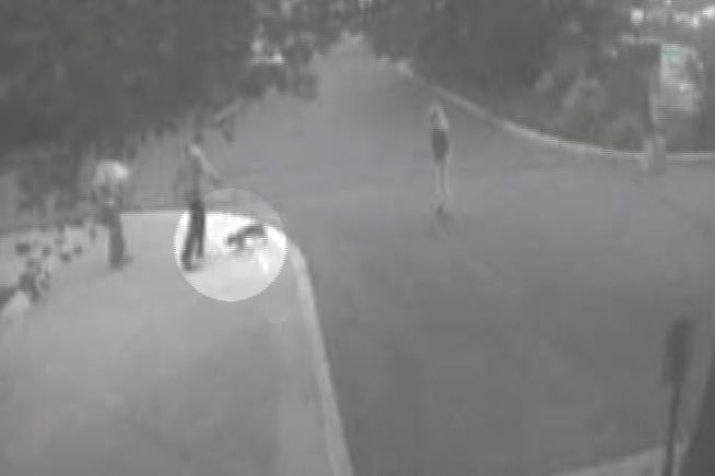 An apparent rabid fox went on the attack outside a Hartford apartment building and it was all caught on tape.