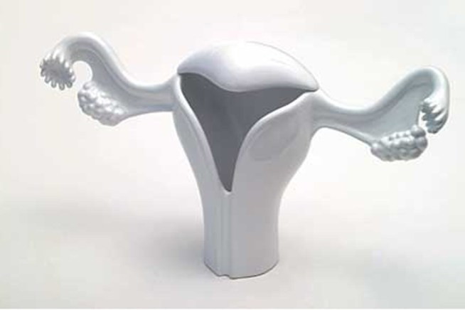 Record-Breaking Uterus