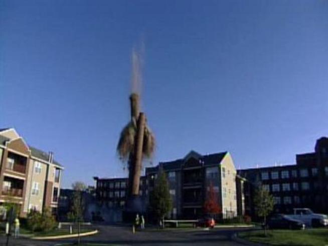 The smokestack at the former Ovaltine factory came down without incident during a planned implosion Wednesday afternoon.