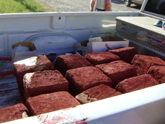 Nearly 11 tons of marijuana were found packed into six railroad cars arriving from <a title=