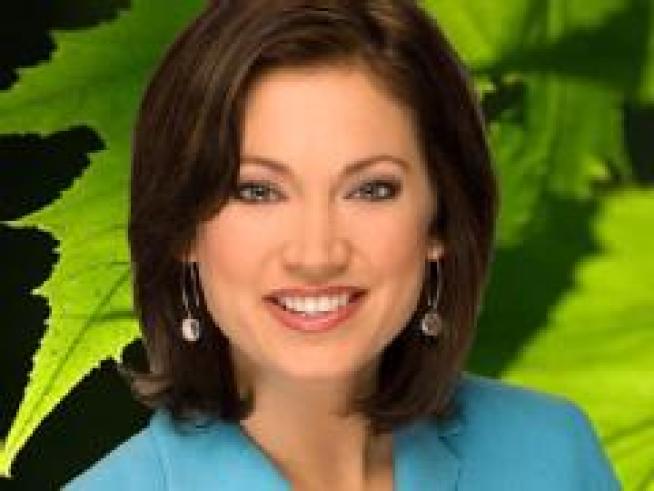 Ginger Zee Says Green is Universal and Personal