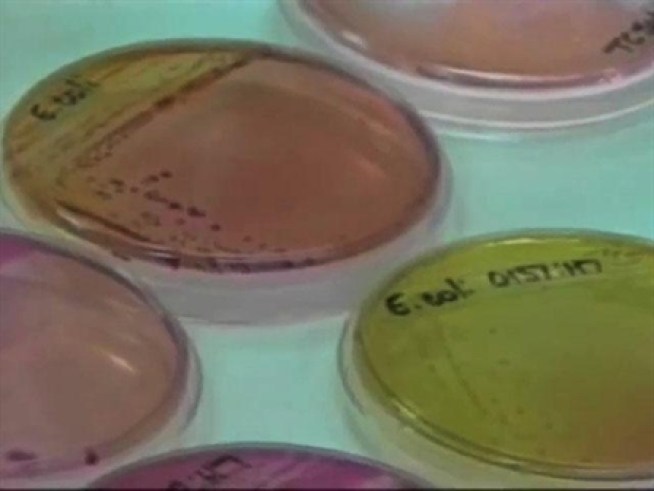 A Mother's Battle With MRSA