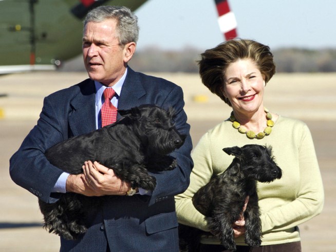 President Bush's Dog "Miss Beazley" Dies President Bush's Dog "Miss Beazley" Dies