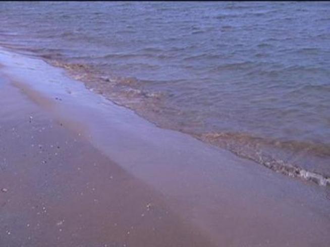 Get ready Chicago, surf's up! Park District Supt. Timothy Mitchell agreed the district would begin to take steps to allow surfing at four beaches as early as Memorial Day.