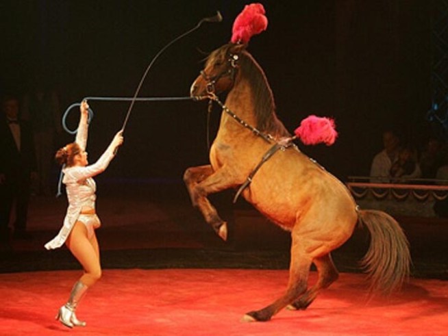 From new movies to exhibits to live performances, there's always so much to do in <a title=