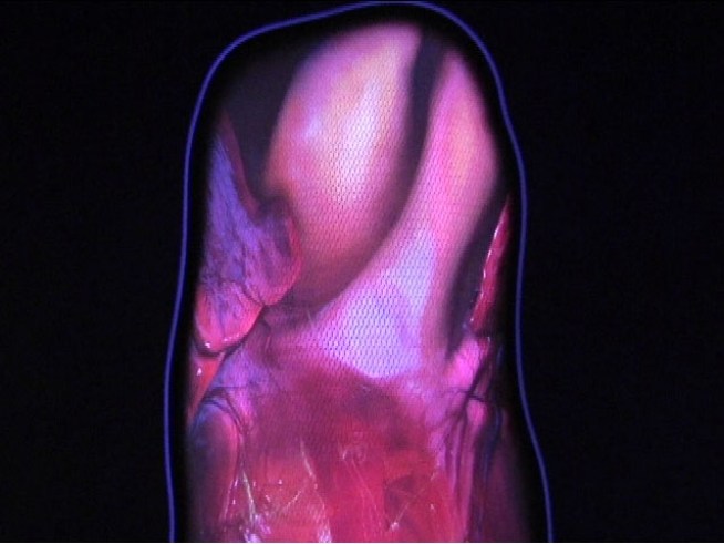 An 8-foot wide, fully functioning, interactive mechanical representation of a human heart beats and shows valves open and close with electrical pulses.