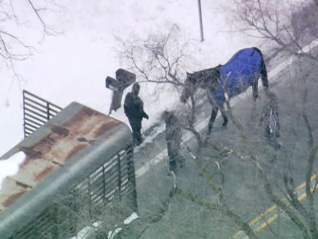 Based on a tip that animals were living in poor conditions, authorities execute a search warrant on animal welfare organization in uncorporated <a title=
