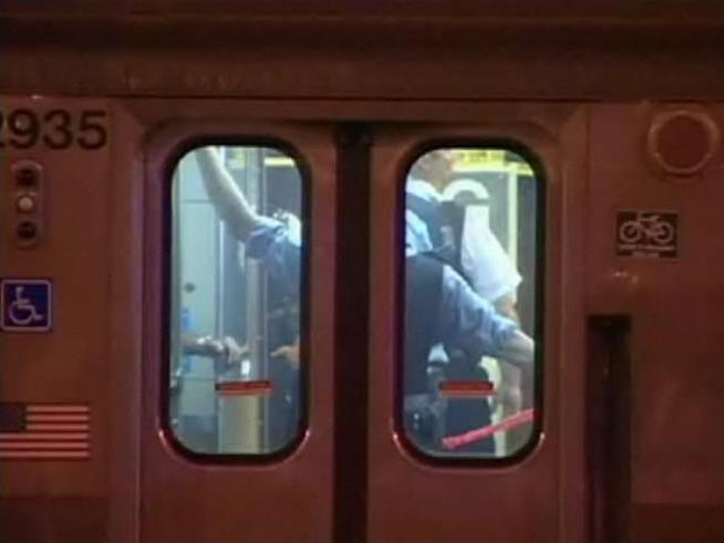 Two witnesses describe a different course of events that led to police fatally shooting a man on board a CTA Red Line train.
