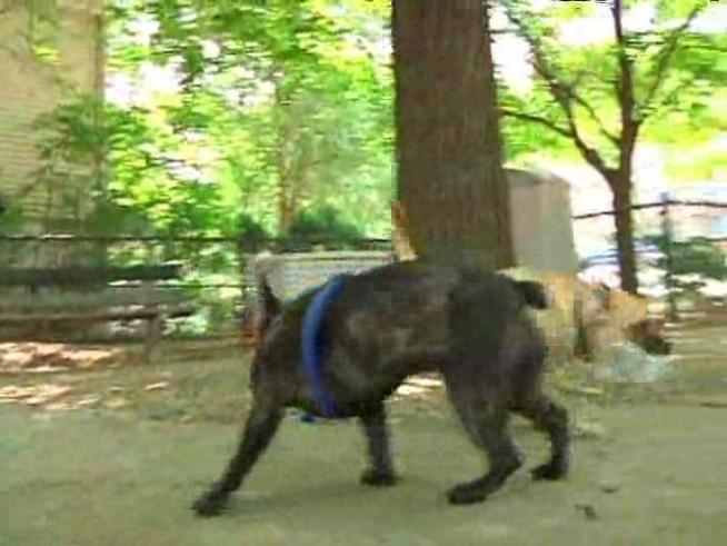 Warning: Man?s best friend could cost you a fortune.  Pet owners are on track to spend $47.7 billion dollars on petcare this year.