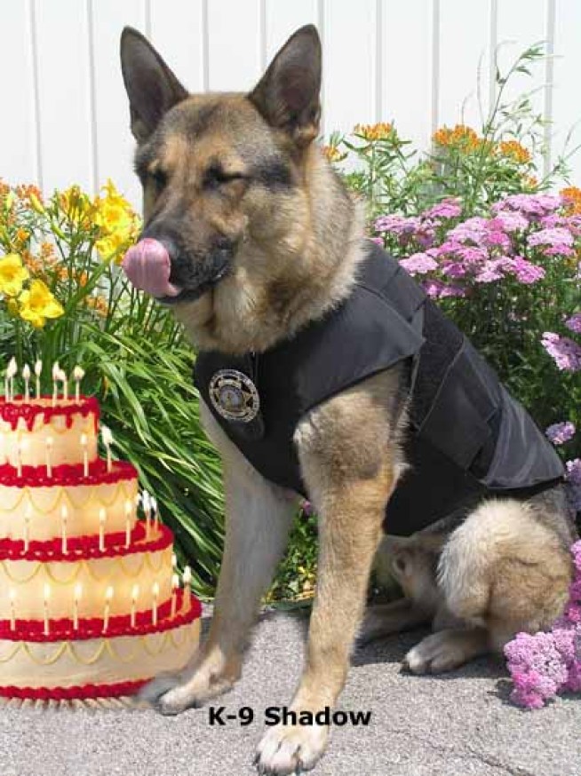 Illinois Vest-a-Dog Vests 300th Police K-9