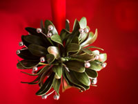 Of Mistletoe, Buttocks and Bluster