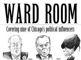 Republican Wave Washes Out Illinois Dems