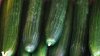 Cucumber recall Illinois: Which cucumbers to look for and where