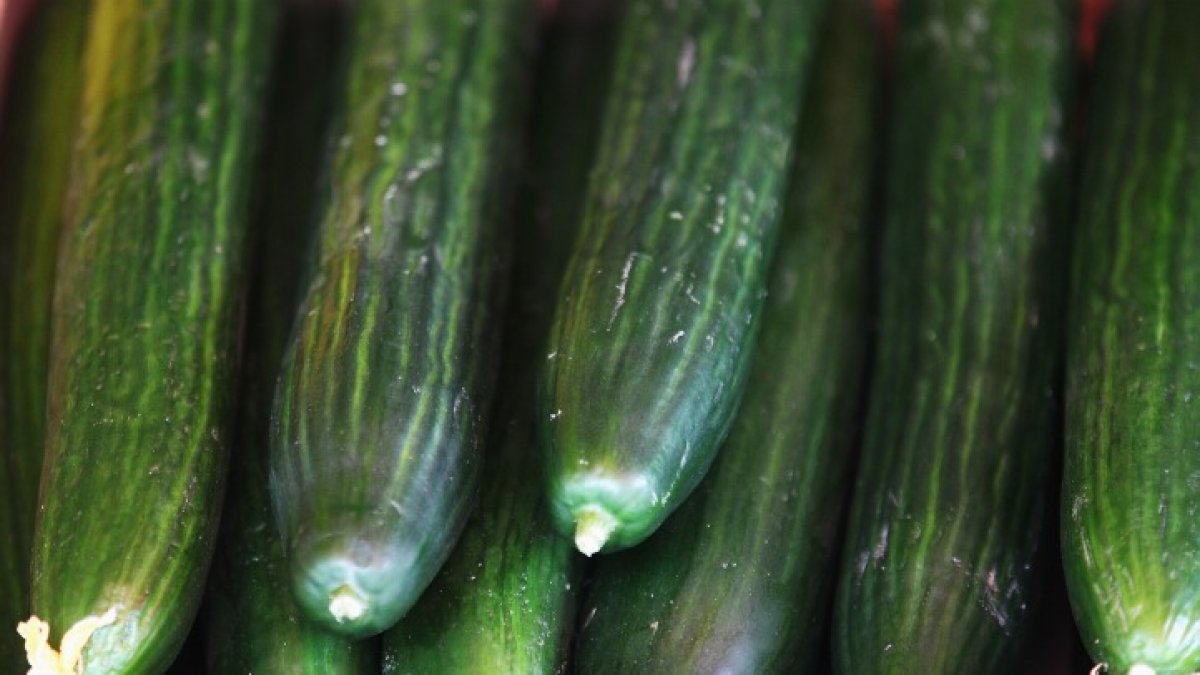 New salmonella outbreak tied to tainted cucumbers, with illnesses reported in Illinois