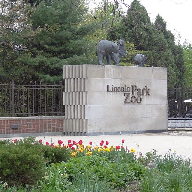 Lincoln Park Zoo Announces Reopening Date, Changes – NBC Chicago