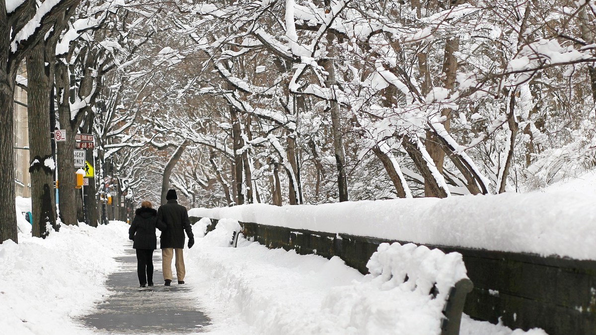 how many inches of snow in chicago il