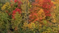[UGCCHI-CJ-weather]Churchill Woods Forest Preserve DuPage County