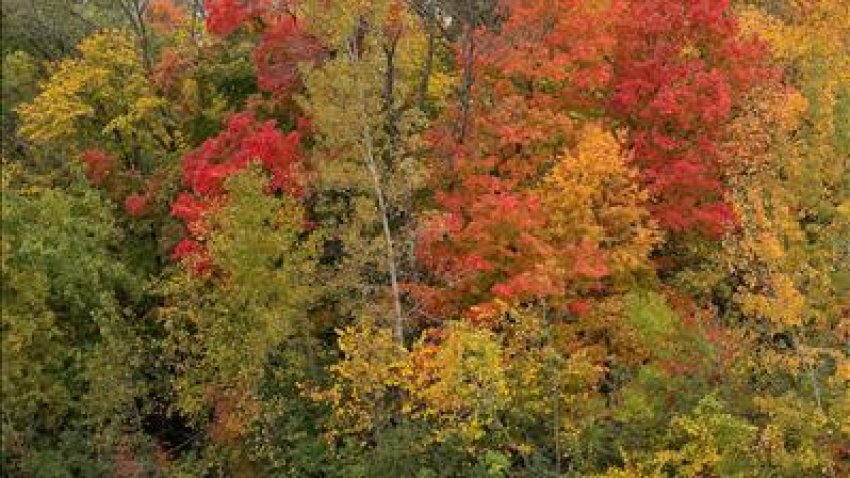 [UGCCHI-CJ-weather]Churchill Woods Forest Preserve DuPage County