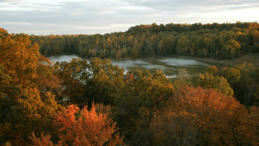 Spread Ashes in State Parks