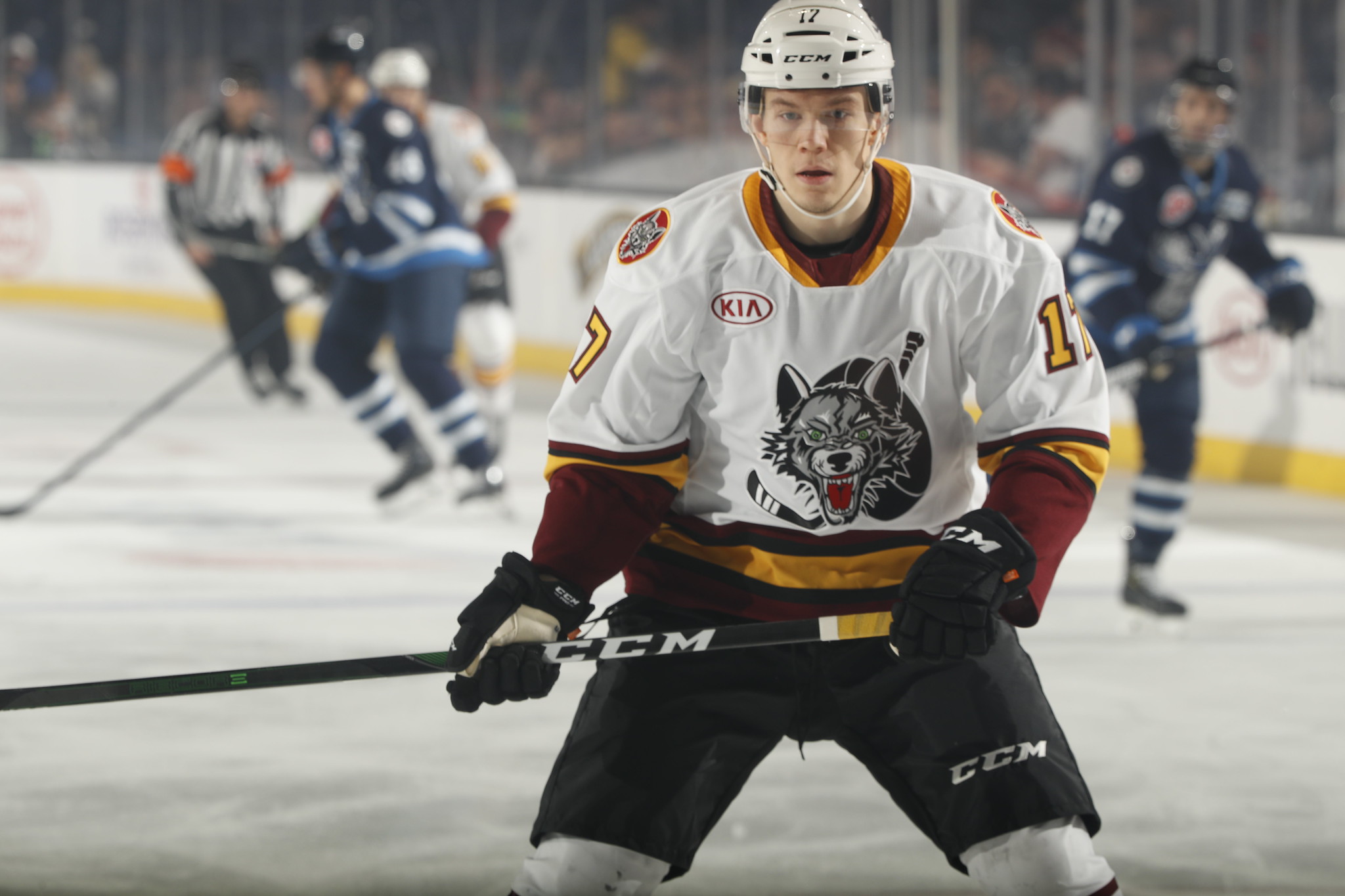 Chicago Wolves' Affiliation With Golden 