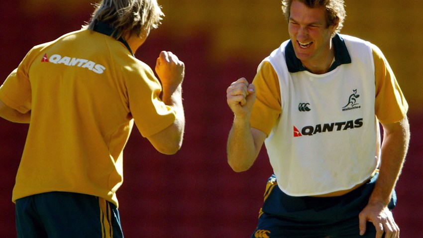 50945127CM001_Wallabies