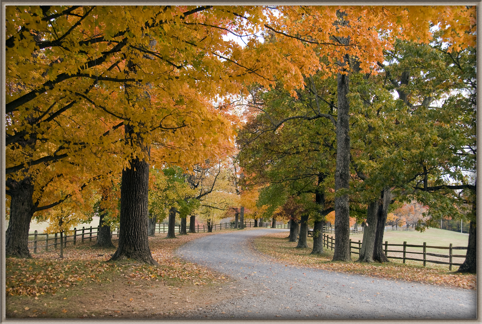 Illinois State Park Ranks Among Best Places in U.S. to Spot Fall Colors