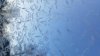Frost possible in some areas before a chilly Saturday, then a warmup begins