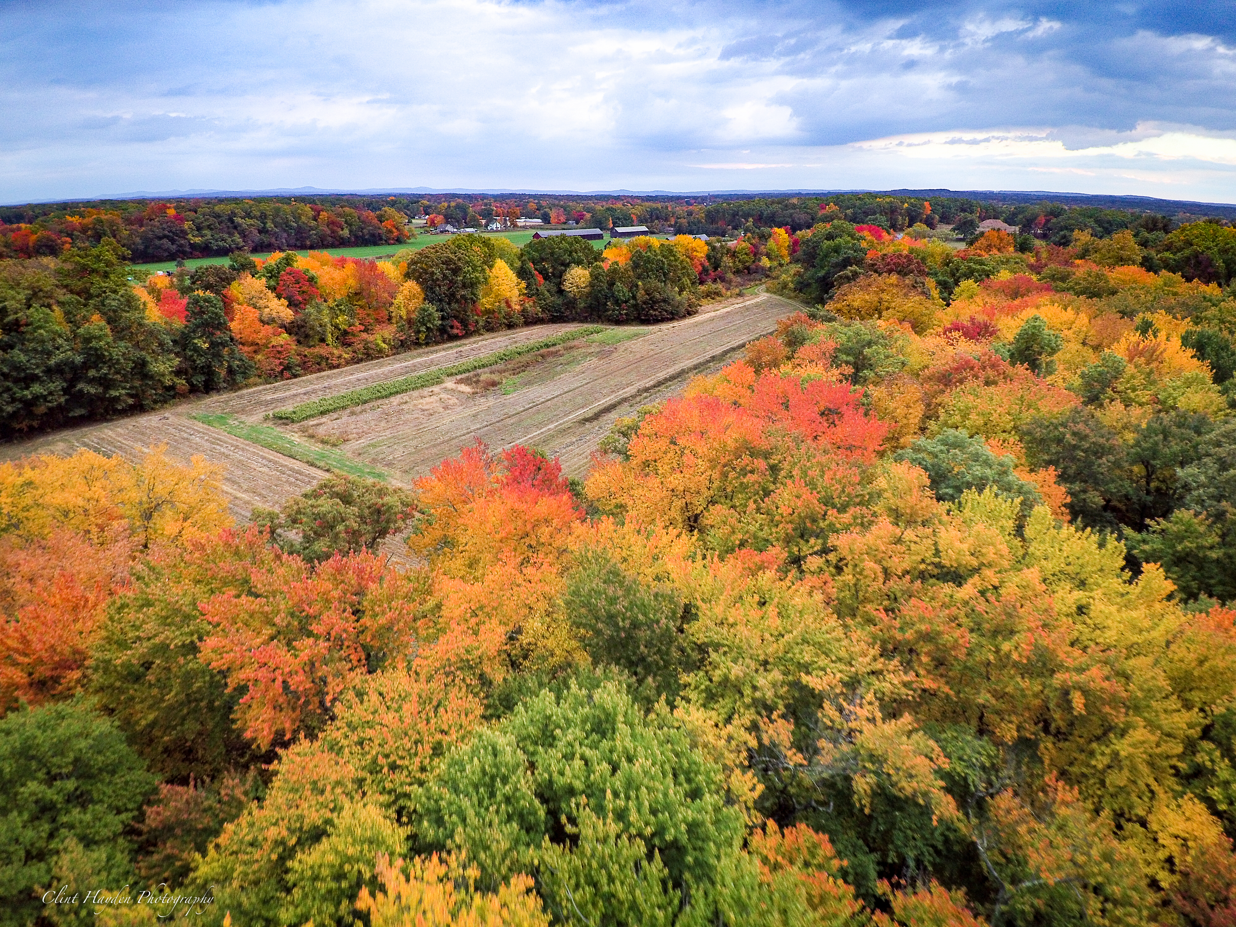 Colorado fall colors forecast 2023