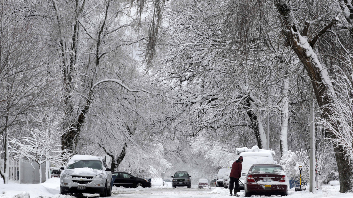 Dude, where's my car?': Chicago winter parking ban goes into effect