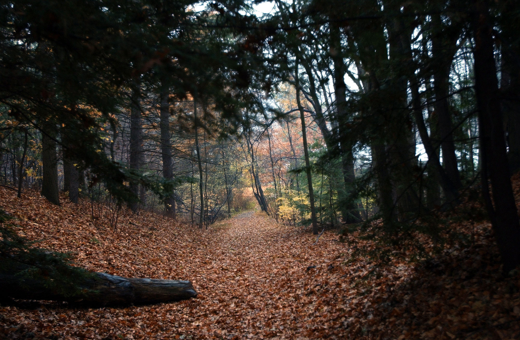 A Midwestern Suburb is Home to One of the World's Most Haunted Roads