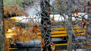 A Fulton County school bus is obscured by ice laden branches