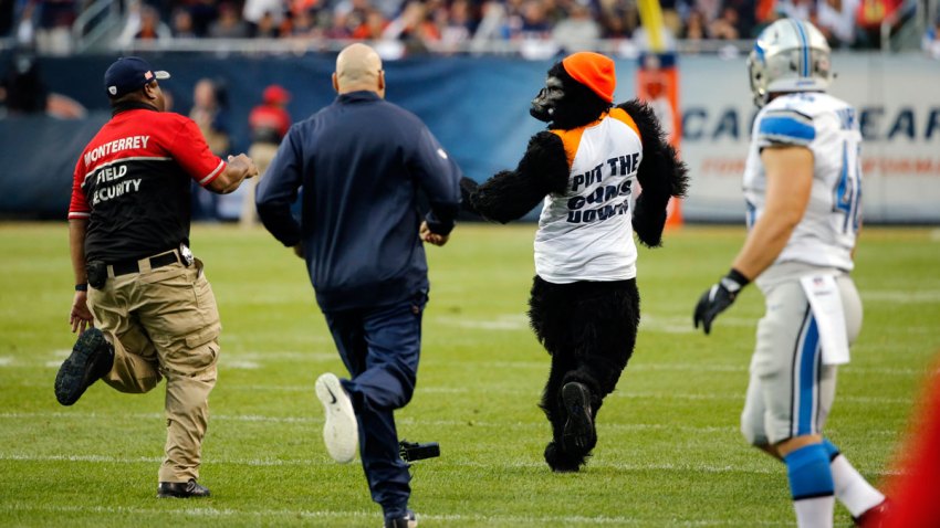Lions Bears Football