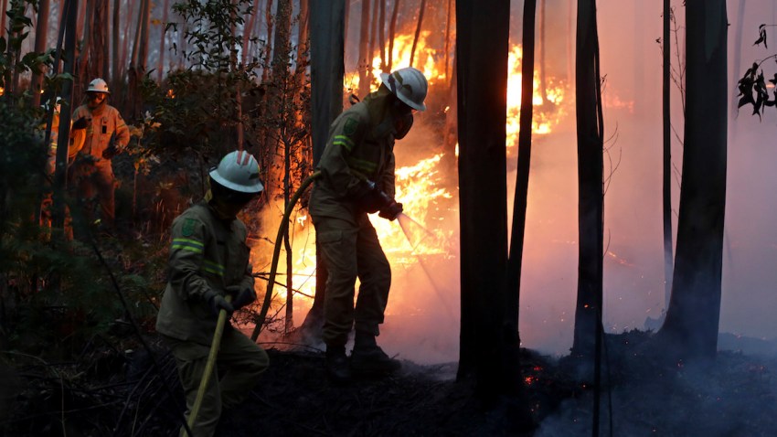 Portugal Forest Fires
