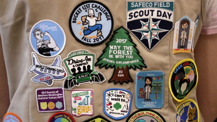 Girl Scouts vs Boy Scouts