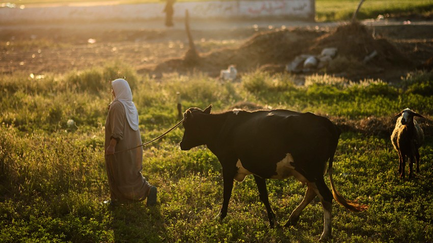 Mideast Egypt Daily Life