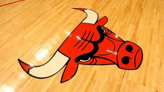 Bulls Logo