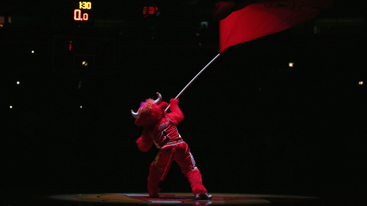 Bulls_mascot_2-16