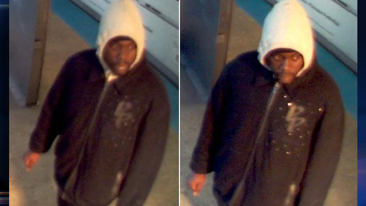 CTA-Blue-Line-Feces-Attack-