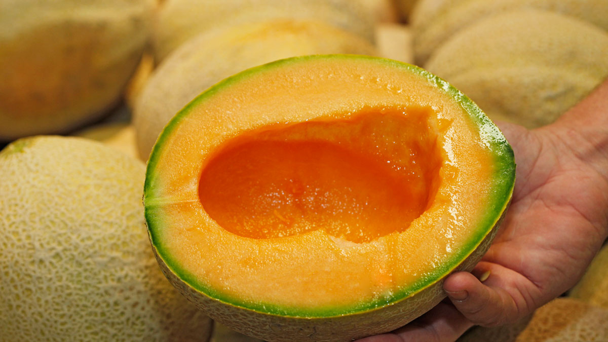伊利诺伊州和其他14个美国州报告了与感染沙门氏菌的甜瓜相关的疾病