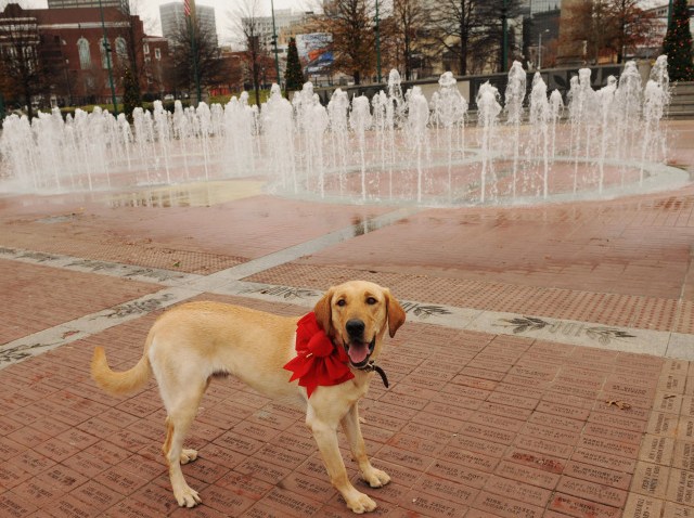Centennial Park p1