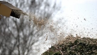 Wood chips land on a pile after municipal workers grind Christmas trees from the past holiday season in a wood-chipper at a community park in Warminster, PA, on February 6, 2019.