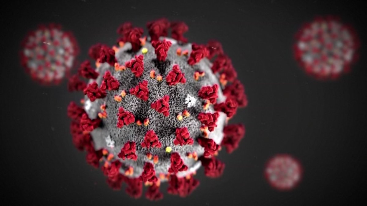 MAP Coronavirus Cases in Illinois By ZIP Code NBC Chicago