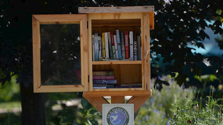 Little Free Library in Denver, Colorado