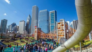 Maggie Daley Park