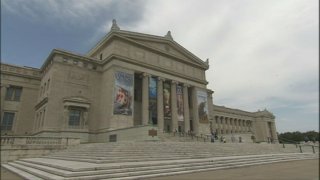 Field Museum 9-22_29013310