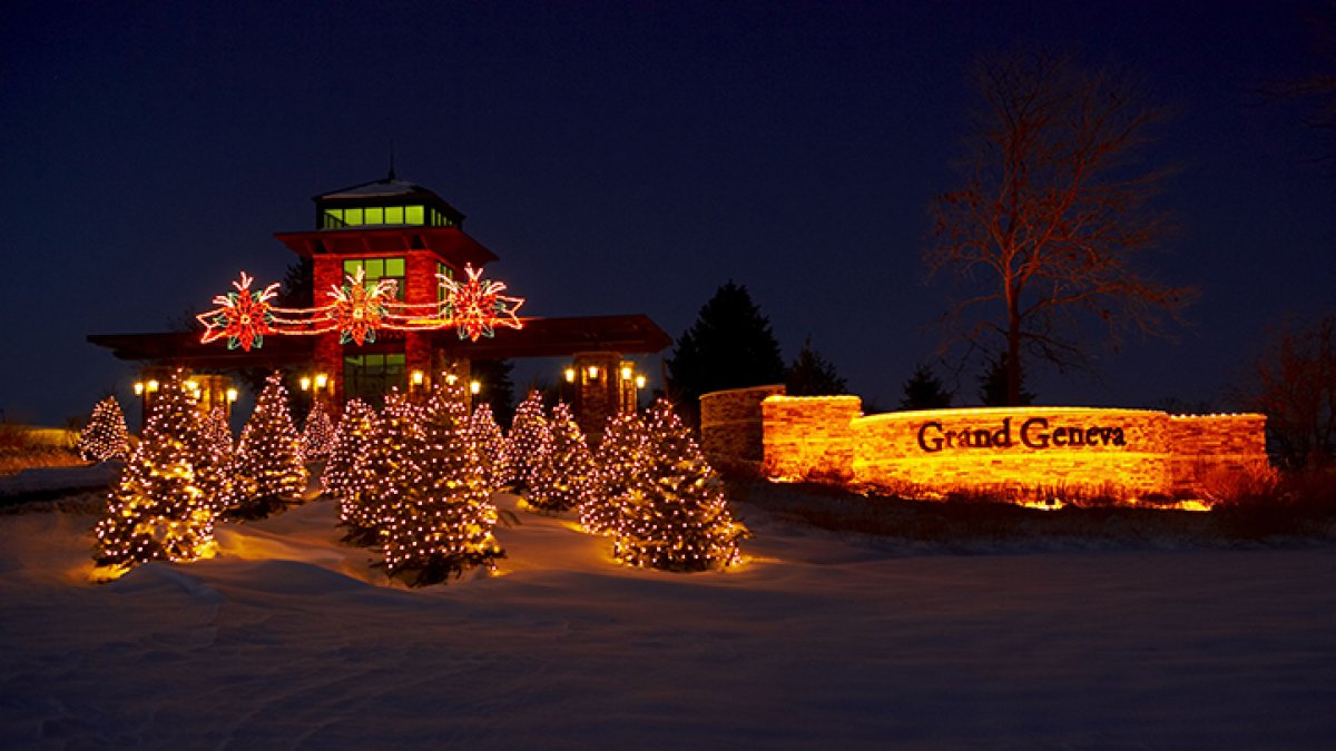 Raccoon falls through ceiling at Grand Geneva Resort restaurant, bites guest