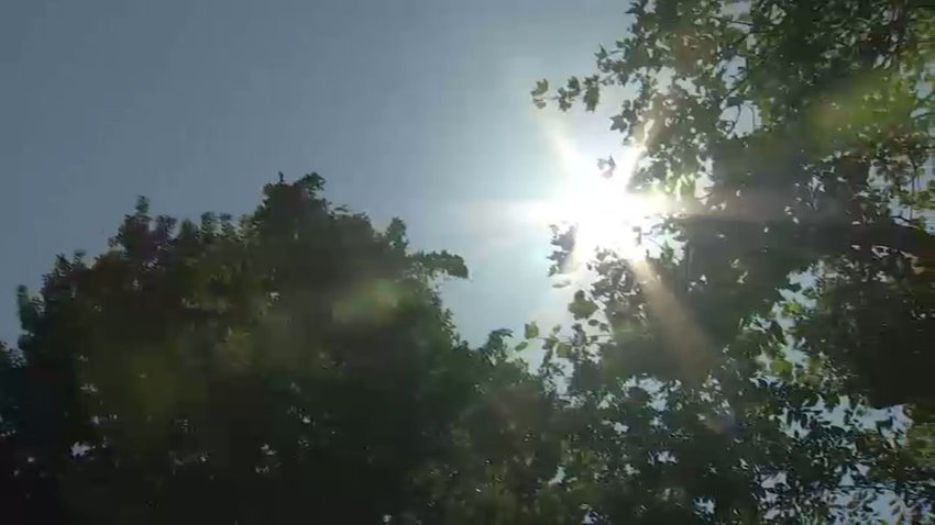 Generic Sun Generic Philly Sun