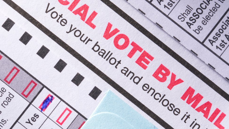 These Are the Referendum Questions on Suburban Cook County Voters