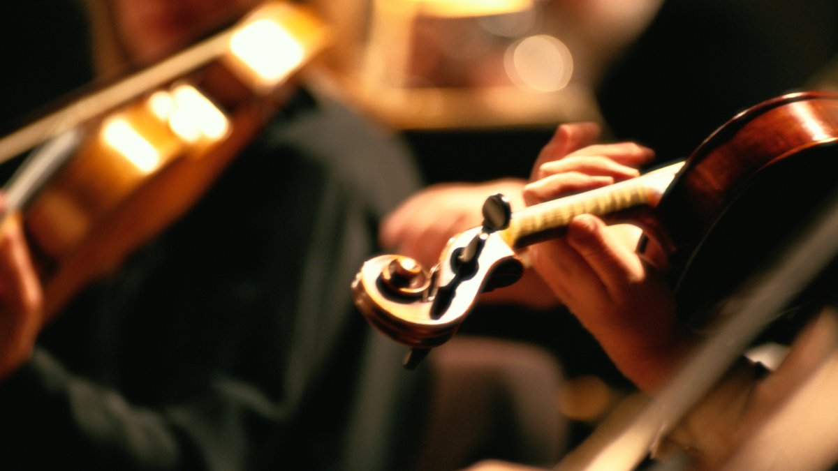 Chicago Sinfonietta Celebrates 35 Years of Promoting Diversity Through Classical Music - Vimarsana News