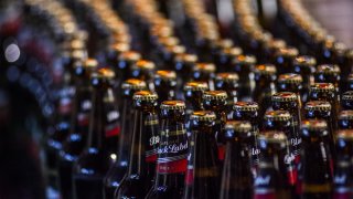 Capped and labelled bottles of Carling Black Label beer